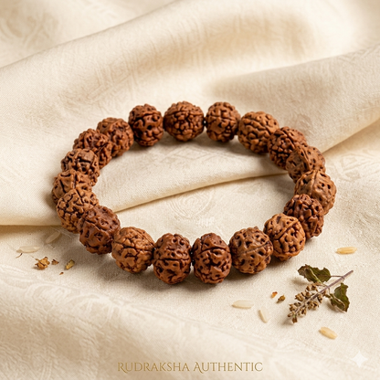 6Pcs Bageshwar Dham Tulsi Mala + FREE 1 Rudraksh Bracelet | (Pack of 7)